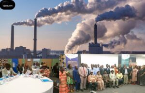 Avec le Programme des Nations unies pour le développement (PNUD), le Cameroun structure sa finance biodiversité et prépare son entrée sur le marché carbone.