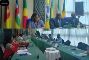 CEMAC : les résolutions de Douala pour fiabiliser les statistiques industrielles